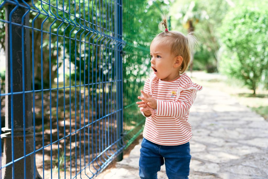 Fences and Gates